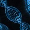 微软DNA数据存储探索取得突破 已经跨过最低写入速度门槛