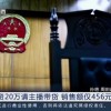 斥资20万请主播带货仅卖出456元 法院判决退还服务费