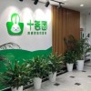 阿里重仓、融资超10亿美元，十荟团为何爆雷？