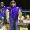 价值957万 一网捕获超4900斤野生大黄鱼这种事有多罕见？