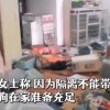 女子被隔离14天通过监控看狗子把家拆完 当事人：好气好绝望