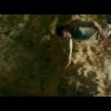 电影《神秘海域》新预告公布 2月18日北美上映