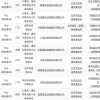 贾跃亭到底挖了多少坑？三大中介机构被立案，63家公司遭殃