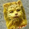 金钱豹、锦鲤、杨超越，为了发财年轻人什么都拜