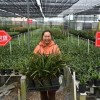 拼多多 “农地云拼”背后：花田直连消费者 种花人开拓拼购新模式
