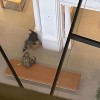 苹果荷兰零售店劫持事件：人质成功逃跑，警察用车撞倒嫌犯