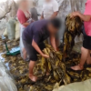 七天无理由退货让商家吃瘪？背后有人在利用规则搞事