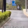 上海母女掉1根葱被捡走 追2公里讨回 当事人：太贵了