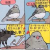 《假面骑士》的烂梗上了热搜第一 究竟发生什么事了？