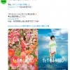 《千与千寻》舞台剧将在网络平台播出 感受现场气氛