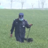 手机关机掉在田里苦寻无果 警犬52秒找回 眼神还很得意