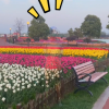 男子花3小时在身上作画隐身花丛：不动根本看不到