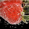 苹果公司公布“Shot on iPhone”微距挑战赛获胜照片