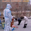 正能量段子滞销，别救了