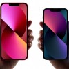 iPhone 13 mini机型在美国3月季度iPhone销量中占比只有3%