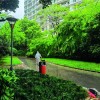 上海“团长”：盼望自己消失在2022年的春天里