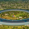 职场社交网络调查显示：苹果员工对回归办公室工作感到不满