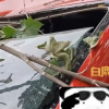 小鸟用钢筋打造豪华鸟窝 不慎掉下砸坏路边轿车