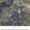 露营终于有人管了 广州：搭帐篷需预约 飞无人机被明确禁止