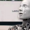 谷歌研究员被群嘲：LaMDA有人格是胡说八道！谷歌也回应：想多了，就是会聊而已