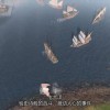《帝国时代4》第二赛季中文预告公开 7月12日开启