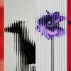 抢先下载Nothing Phone (1)的手机壁纸