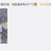 撞断6根肋骨也要跑到树荫下再躺 当天38度网友直言机智