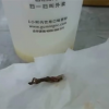 被曝喝出壁虎 古茗奶茶回应：涉事门店已停业自查