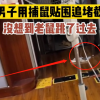 男子用捕鼠贴设天罗地网捉老鼠：结果反被调戏 直接“飞”了过去