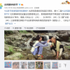 李连杰成名作《少林寺》等4K版重映 堪称中国影史奇迹