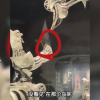 三星堆青铜神树上有只壁虎 密封展柜咋出现的？网友惊叹 官方回应