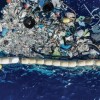 海洋清理研究表明 太平洋垃圾带主要由渔具构成