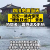 昨日西安一湖内惊现“鲤鱼跃龙门”引围观：当天四川地震 两者有关？