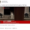 英国“第一猫”现身约翰逊演讲现场：我看看他走了没有
