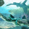 《阿凡达2》曝全新概念图 《阿凡达4》已经开始拍摄