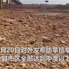 湖南97个县市区特旱 鱼被晒成鱼干：河床裸露湖底龟裂