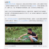 网友围观禁野2年后的华农兄弟 本人回应：坦然面对 乐观生活