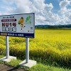日媒：全球变暖给传统饮食带来严峻挑战