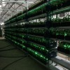 比特币开采软件正在进行十多年来第一次大改造