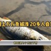 鄱阳湖几月无雨：上万斤鱼搁浅 20多人自费转运