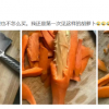 买个胡萝卜里面竟长出一块木头 还带刺