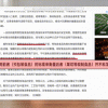 一口吃下上万细菌，果切真的让人不省心？
