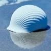 Shellmet头盔：由扇贝制成 本身也很像贝壳