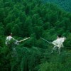 经典武侠电影《卧虎藏龙》将拍美剧版