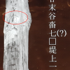韩国1500年历史的木简刻有生僻汉字引围观