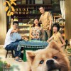 电影《忠犬八公》定档3月31日：中华田园犬八筒软萌登场