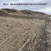 蚂蚁森林：网传存在污染地块 与蚂蚁森林公益项目无关