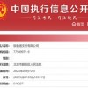 国美旗下支付机构“银盈通”被法院列为被执行人