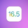 苹果发布iOS 16.5和iPadOS 16.5系统 Apple News加入体育标签
