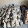 美夫妇在地下室发现百万枚铜币 银行拒绝兑换